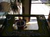 DSC09072.JPG