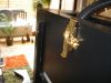 DSC07883.JPG